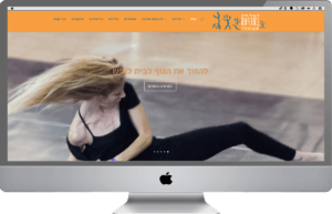 קידום ובניית אתרים בהוד השרון- שיטת לאבאן
