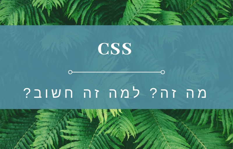 בניית אתרי וורדפרס - הקשר בין מהירות ואלגנטיות וטכנולוגית  CSS