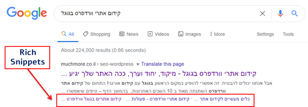 סניפטים עשירים - קידום אתרי וורדפרס