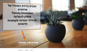 בניית אתרי וורדפרס לעסקים- תבנית ברירת המחדל