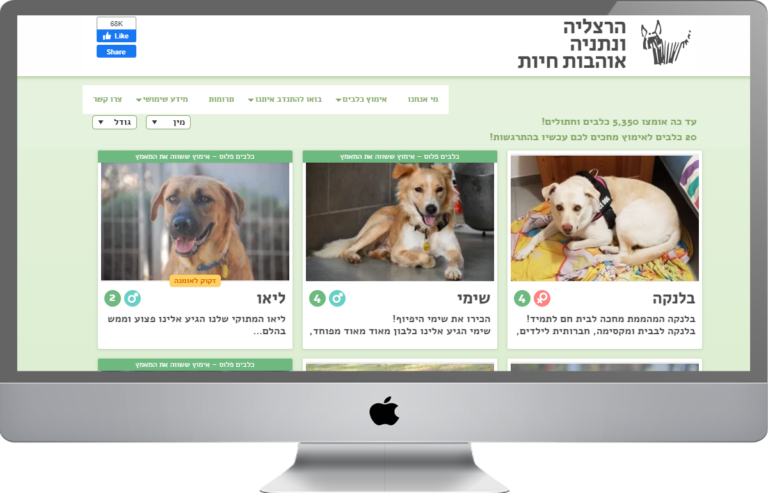 בניית אתרי וורדפרס - הרצליה אוהבים חיות
