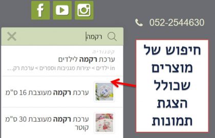 הדרך הקלה להוסיף חיפוש מוצרים לחנות ווקומרס או חנות וורדפרס