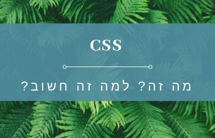 בניית אתרי וורדפרס – הקשר בין מהירות ואלגנטיות וטכנולוגית  CSS